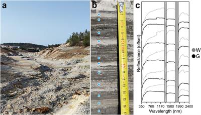 In situ measurement and sampling of acidic alteration products at Río Tinto in support of the scientific activity of the Ma_MISS instrument